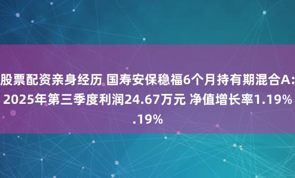 股票配资亲身经历 国寿安保稳福6个月持有期混合A：2025年第三季度利润24.67万元 净值增长率1.19%