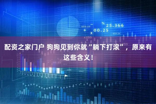 配资之家门户 狗狗见到你就“躺下打滚”，原来有这些含义！